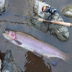 天竜川ルアーフライ専用区